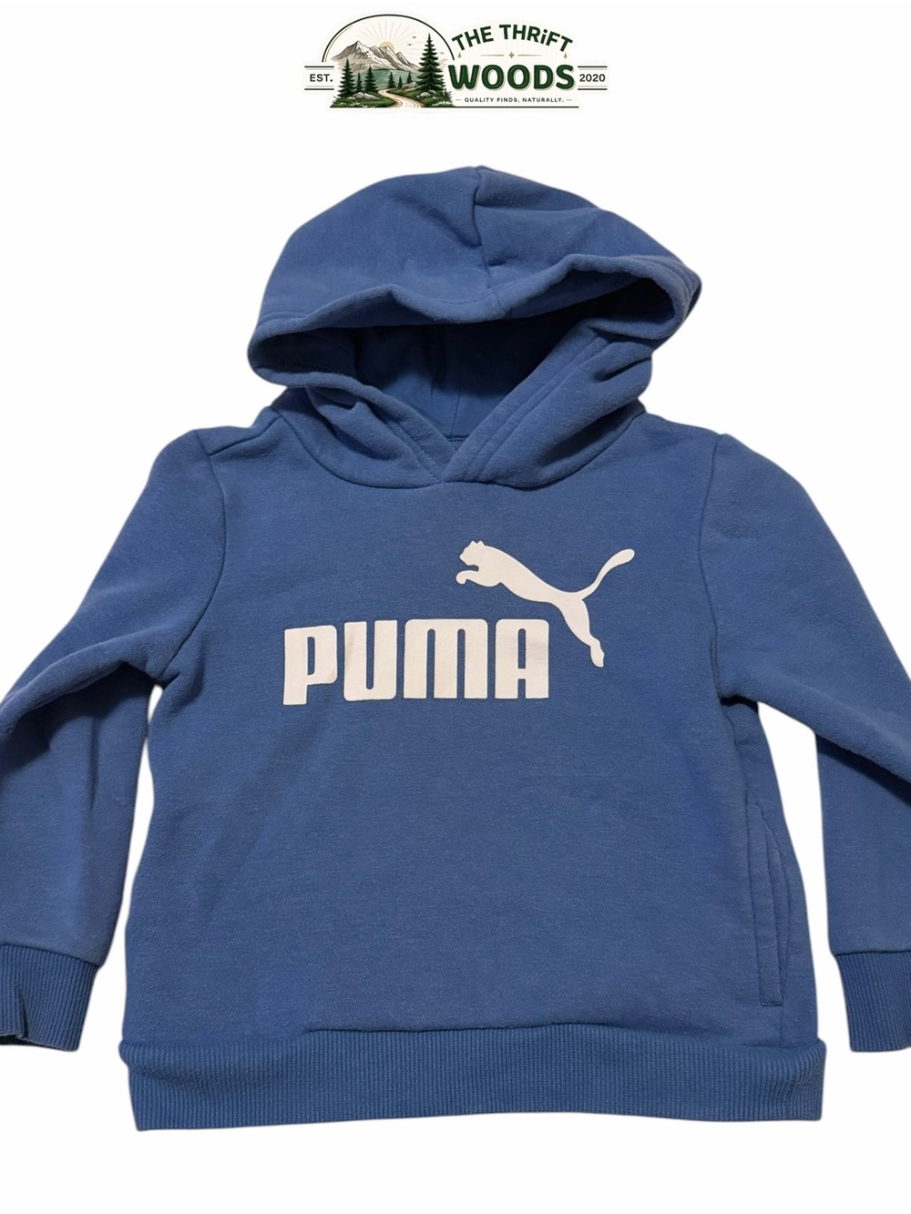 Puma Kids Hoodie
